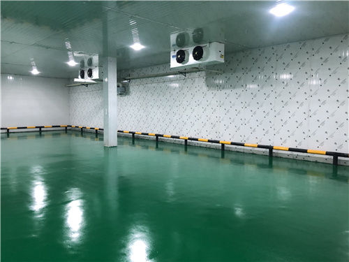 华体会在线注册蔬菜保鲜库 华体会在线注册蔬菜保鲜库